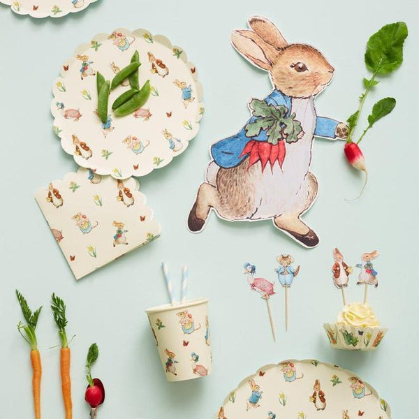 Peter Rabbit™ Plates